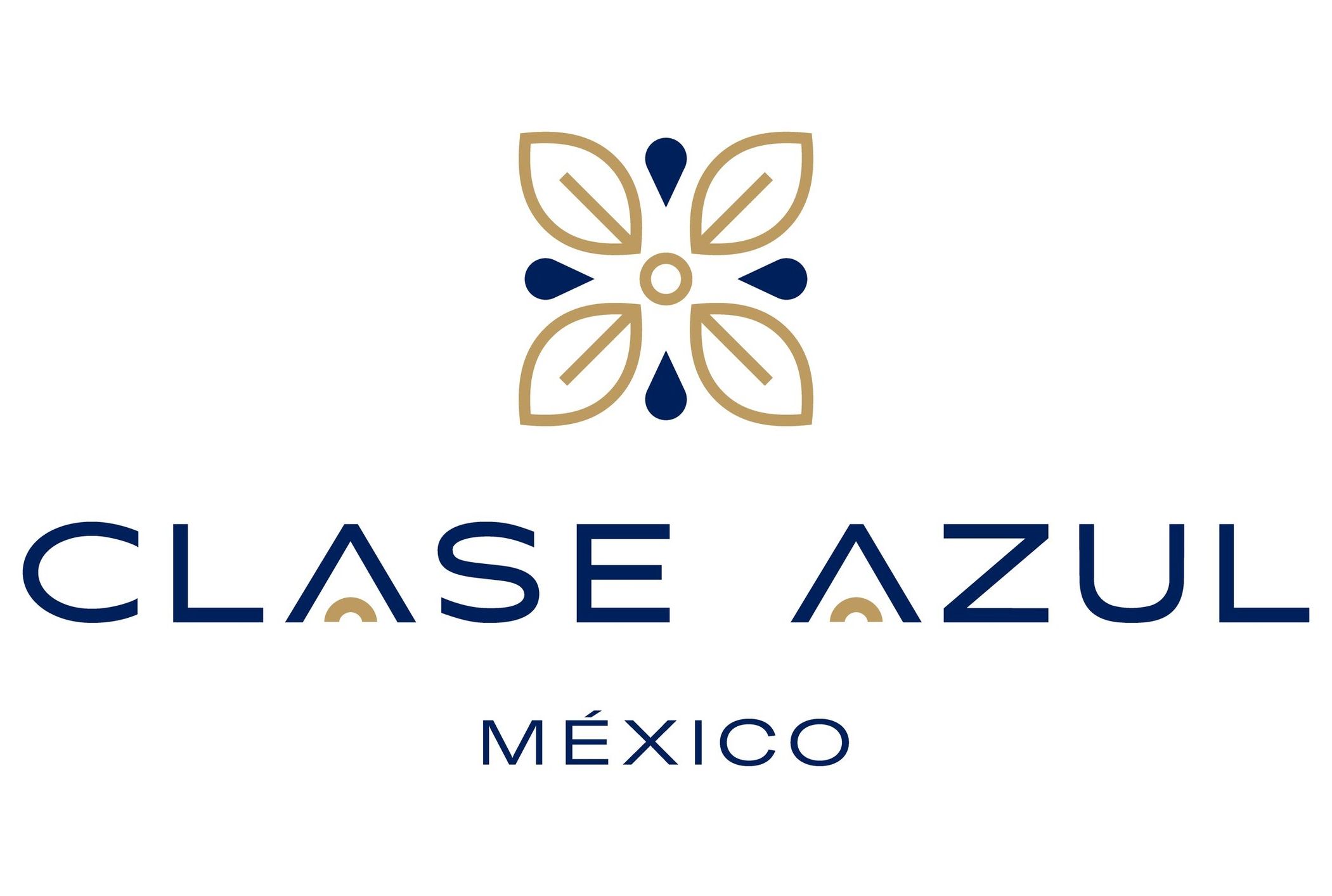 clase azul logo